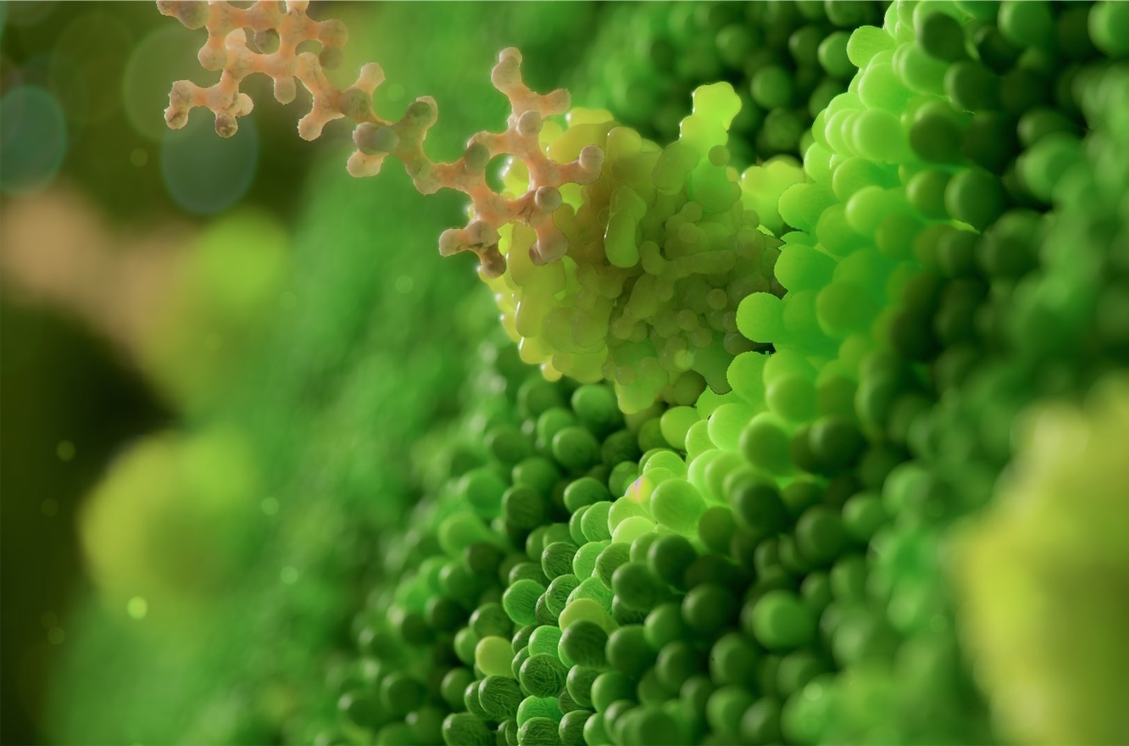 This 3d animation shows a plant receptor with a chitosan molecule.jpg